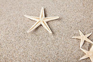 《索尼克×夏特 世代重启》收藏版介绍 10月25日发售